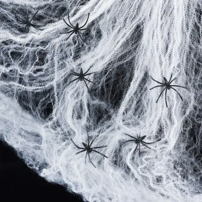 Spinnenweb mit 6 Spinnen, Halloween-Deko, weiß, 60 g
