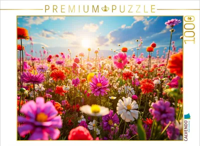 Produktbild von CALVENDO Puzzle Ein Motiv aus dem Kalender Meditation und innerer Frieden | 1000 Teile Lege-Größe 64x48cm Foto-Puzzle für glückliche Stunden
