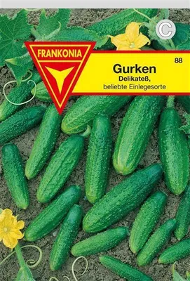 Produktbild von Gurken Delikateß