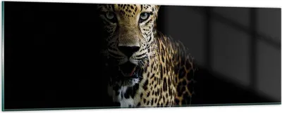 Produktbild von Bilder auf glas - Einteilig - Schattig Leopard Panther - 90x30cm - Glasbilder - Wandbilder - Bilder - zum Aufhängen bereit - Wanddekoration aus Glas - Glas Bilder - Wandbild auf Glas - GAB90x30-4585