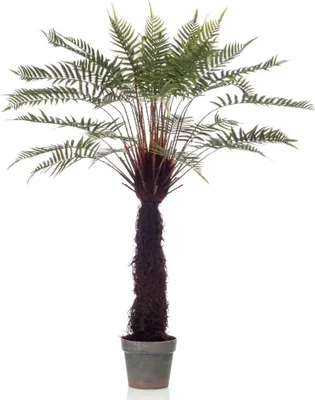 Zdjęcie produktu dla Szmaragdowa sztuczna roślina Dicksonia paproć drzewiasta w doniczce 125 cm