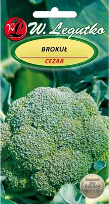 Produktbild von Samen Brokkoli Caesar, frühreif, 2 g