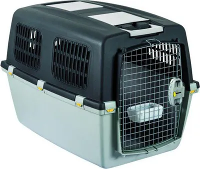 Produktbild von Transportbox Gulliver 64 × 64 × 92 cm hellgrau/dunkelgrau