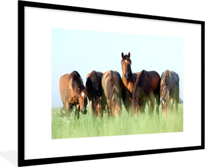 Produktbild von MuchoWow® MuchoWow® Gerahmtes Poster Pferde - Tiere - Gras - Sommer 90x60 cm - Poster mit zchwarzem Bilderrahmen - Wanddekoration - Fotos