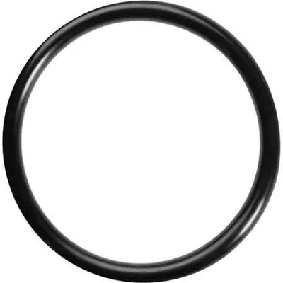 Productafbeelding van O-ring van rubber voor waterverwarmingstoestellen