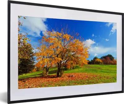 Produktbild von MuchoWow® Gerahmtes Poster Baum - Blätter - Herbst - Jahreszeiten 60x40 cm - Poster mit Schwarzem Bilderrahmen Wandposter Rahmen Foto Bilder - Schlafzimmer - Plakat in Rahmen - Drucken