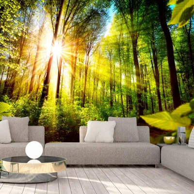 Produktbild von Basera Selbstklebende Fototapete Waldmotiv b-B-0248-a-a, mit UV-Schutz, 441x315 cm