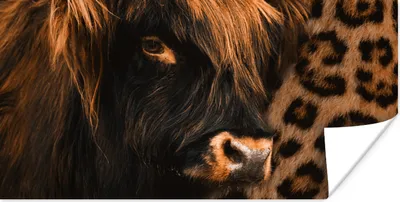 Produktbild von MuchoWow® Poster Panther Druck - Schottischer Highlander - Tiere 120x60 cm - Bild