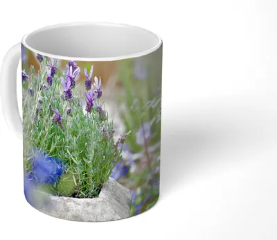 Produktbild von MuchoWow® Tasse Kaffeetasse Kaffeebecher 350 ml Nahaufnahme von Lavendel in einem Garten Teetasse - Fototasse - Becher - Keramikbecher - Teebecher - Kaffeetasse - Bürotasse