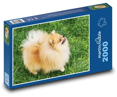 Obrázek produktu pro martinpuzzle - Puzzle 2000 - Pes - německý špic