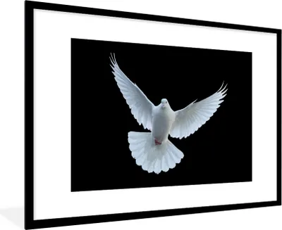 Produktbild von MuchoWow® Gerahmtes Poster Taube - Vogel - Schwarz - Weiß - Porträt 90x60 cm - Poster mit Schwarzem Bilderrahmen Wandposter Rahmen Foto Bilder - Wanddekoration - Fotos