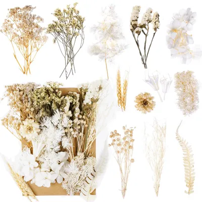 Trockenblumen-Set, 12 Stück, natürliche getrocknete Blumen, weiß, DIY