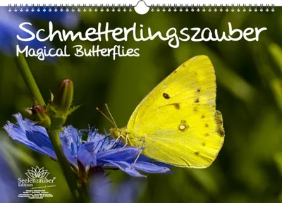 Produktbild von Schmetterlingszauber DIN A3 Immerwährender Kalender Schmetterling - Seelenzauber