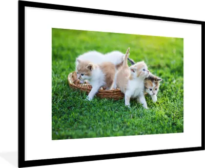 Produktbild von MuchoWow® Gerahmtes Poster Eine Nahaufnahme von Kätzchen in einem Korb 90x60 cm - Poster mit Schwarzem Bilderrahmen Wandposter Rahmen Foto Bilder - Wanddekoration - Fotos