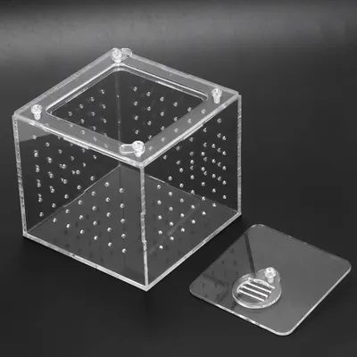 Produktbild von Reptilienaufzuchtbox, Schlangenaufzuchtbox, Reptilienaufzuchtbox aus Acryl, Aufzuchtbox, Eidechsenaufzuchtbox
