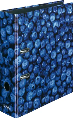 Productafbeelding van Herlitz motivatieordner maX.file, blauw, A4, rugbreedte: 80 mm
