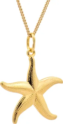 Produktbild von Gold Anhänger Seestern  mit Goldkette massiv 333 - 8 Karat Gold 42 cm