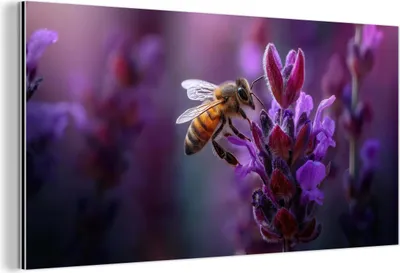 Produktbild von MuchoWow Wanddekoration Metall Metallbild Wandkunst 120x60 cm Honigbiene - Lila Blumen - Details MuchoWow Aluminium Gemälde - Metalbilder