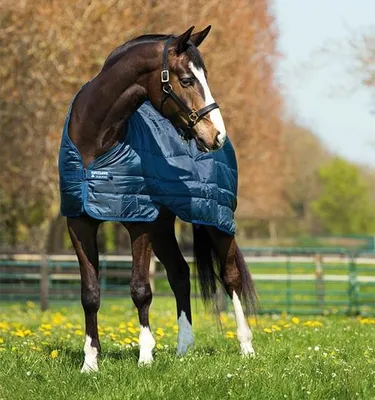Obrázek produktu pro Horseware Ireland Underblanket 200g Liner Navy/Navy 115 (5'6)
