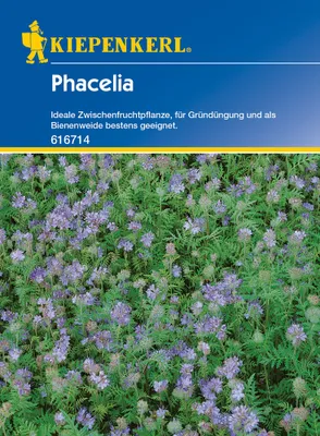 Produktbild von Gründünger Phacelia Kiepenkerl 50 g