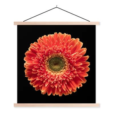Produktbild von MuchoWow® Textilposter Eine orangefarbene Gerbera-Blüte vor schwarzem Hintergrund 40x40 cm mit holzfarbenen Rahmen - Posterleiste