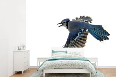 Produktbild von MuchoWow® Fototapete für Wohnzimmer oder Schlafzimmer Wandtapete Vinyl Motivtapete Vogel - Federn - Weiß - 360x260 cm - Wohnzimmer tapete