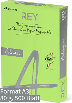 Produktbild von Kopier-Offset A3 KP380 REYAdagio 80g kiwi Pckg. a 500 Blatt