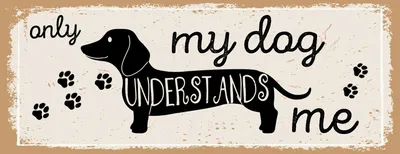 Produktbild von vianmo Holzschild 10x27 cm only my dog understands me Dackel