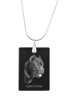 Immagine prodotto di Cane Corso - Ciondolo in cristallo con cane, collana in argento con foto, ciondolo personalizzato del marchio Art-Dog