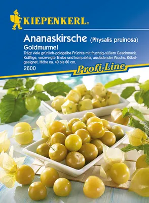 Produktbild von [STREICHUNG 2025] Ananaskirsche Goldmurmel | Obstsamen von Kiepenkerl