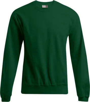 Image de Nouveau sweat Promodoro pour hommes 80/20