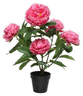 Produktbild von Kaemingk 001040096
