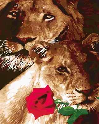 Image de Peinture Par Numéros Lion Et Lionne 40 X 50 5637