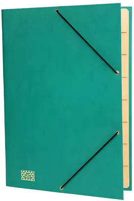 Produktbild von RNK Gummizugmappe 35x25cm grün 9 Fächer Sichtstanz.u.Registerschn.