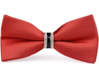 Zdjęcie produktu dla Motýlik Exclusive Czerwony - Elegancka Biżuteria dla Twojego Kołnierza KP30382