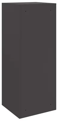 Image de Boîte à colis vidaXL avec espace de rangement, noire, 41 x 38 x 103 cm, en acier