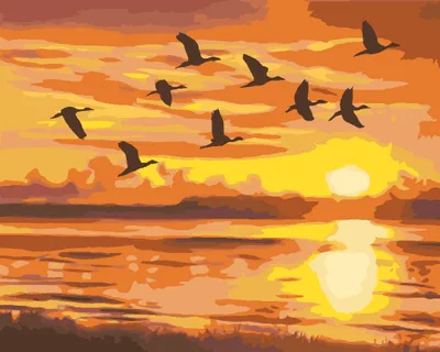 Produktbild von Zuty - Malen nach Zahlen - FLIEGENDE ENTEN UND SONNENUNTERGANG (D. RUSTY RUST), 40x50 cm, mit Keilrahmen (bereits gespannt)