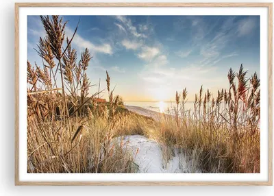 Produktbild von Gerahmtes Poster - Rahmen in heller Eiche - Ähren Küste Sonne - 100x70 cm - Wand Bild - Wanddeko - Wandbilder - Kunstposter - Wandposter - Bilderrahmen - Bilder - Kunstdruck - P2NAA100x70-4653