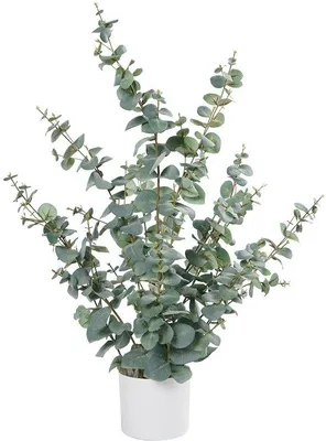 Immagine prodotto di Pianta artificiale di eucalipto da 90 cm, verde-argento, per decorazioni da tavola