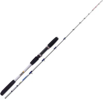 Zdjęcie produktu dla Sugoi Calamari Wędka do jajek srebrna 2,40 m / 30-150 g srebrna 2,40 m