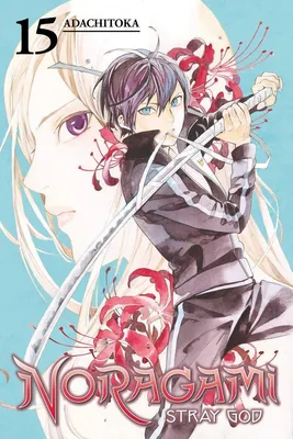Produktbild von Noragami Volume 15