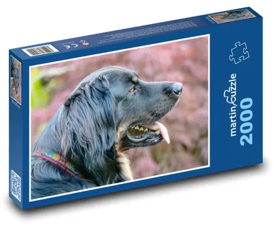 Obrázek produktu pro martinpuzzle - Puzzle 2000 - Hovawart - pes