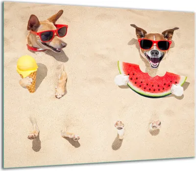 Produktbild von Herdabdeckplatten Glaskeramikkochfeld-Abdeckung Spritzschutz Glas 60x52cm Hund Strand