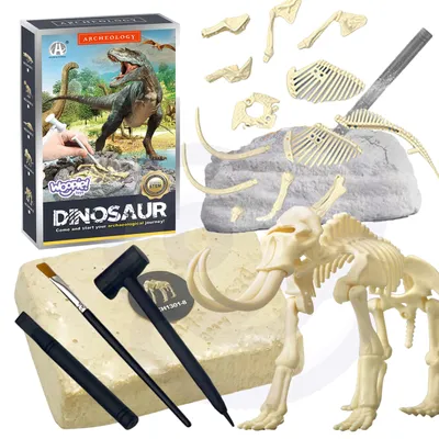 Produktbild von Woopie Kreatives Spielzeug-Dinosaurier-Skelett, archäologische Ausgrabung