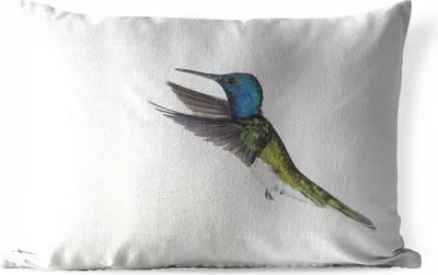 Produktbild von MuchoWow® Outdoor Kissen - Vogel - Kolibri - Blau - Grün - 60x40 cm - Wetterfest - Lounge Kissen - Zierkissen - Kissen für Innenräume