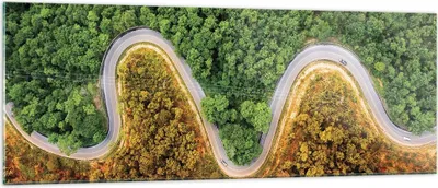 Produktbild von Bilder auf glas - Einteilig - Luftaufnahmen Weg Wald - 140x50cm - Glasbilder - Wandbilder - Bilder - zum Aufhängen bereit - Wanddekoration aus Glas - Glas Bilder - Wandbild auf Glas - GAB140x50-4659