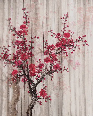 Produktbild von Frühling Kunstdruck Bild - Rote Quittenblüten (50 x 40 cm)