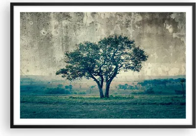 Produktbild von Gerahmtes Poster - Schwarzer Rahmen - Baum Natur Feld - 91,5x61 cm - Wand Bild - Wanddeko - Wandbilder - Kunstposter - Wandposter - Bilderrahmen - Bilder - Kunstdruck - Wandbild - P2BAA91x61-3627