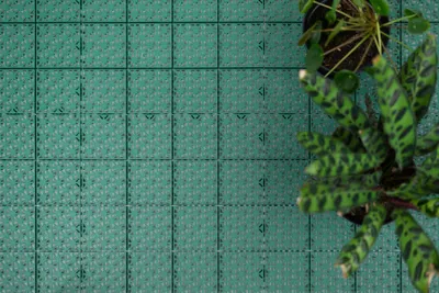 Produktbild von Steckfliesen aus Kunststoff für Balkon Pool Garage und Zelt Outdoor Bodenplatten grün mit Klicksystem in 30 x 30 cm