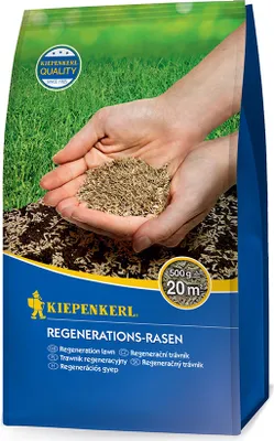 Artikelbild 1 von 'Regenerations - Rasen (500 g)' aus der Kategorie Rasensamen